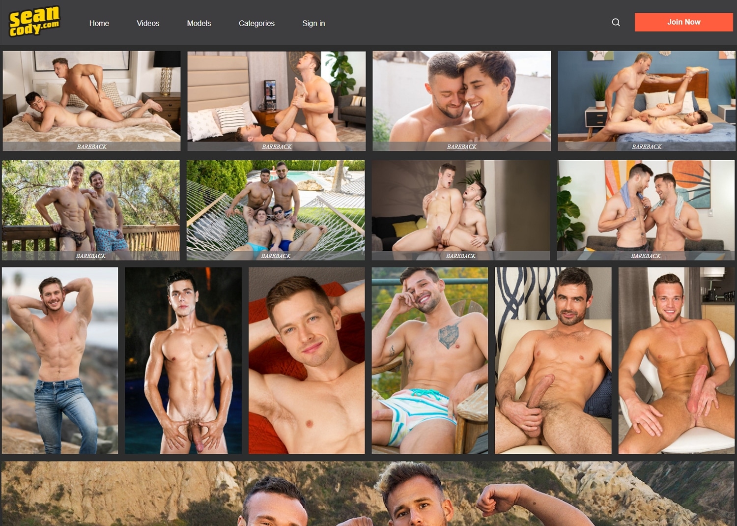 Gay porn site Sean Cody