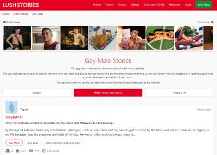 Lush Stories Gay